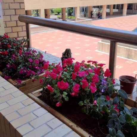 北一花台1