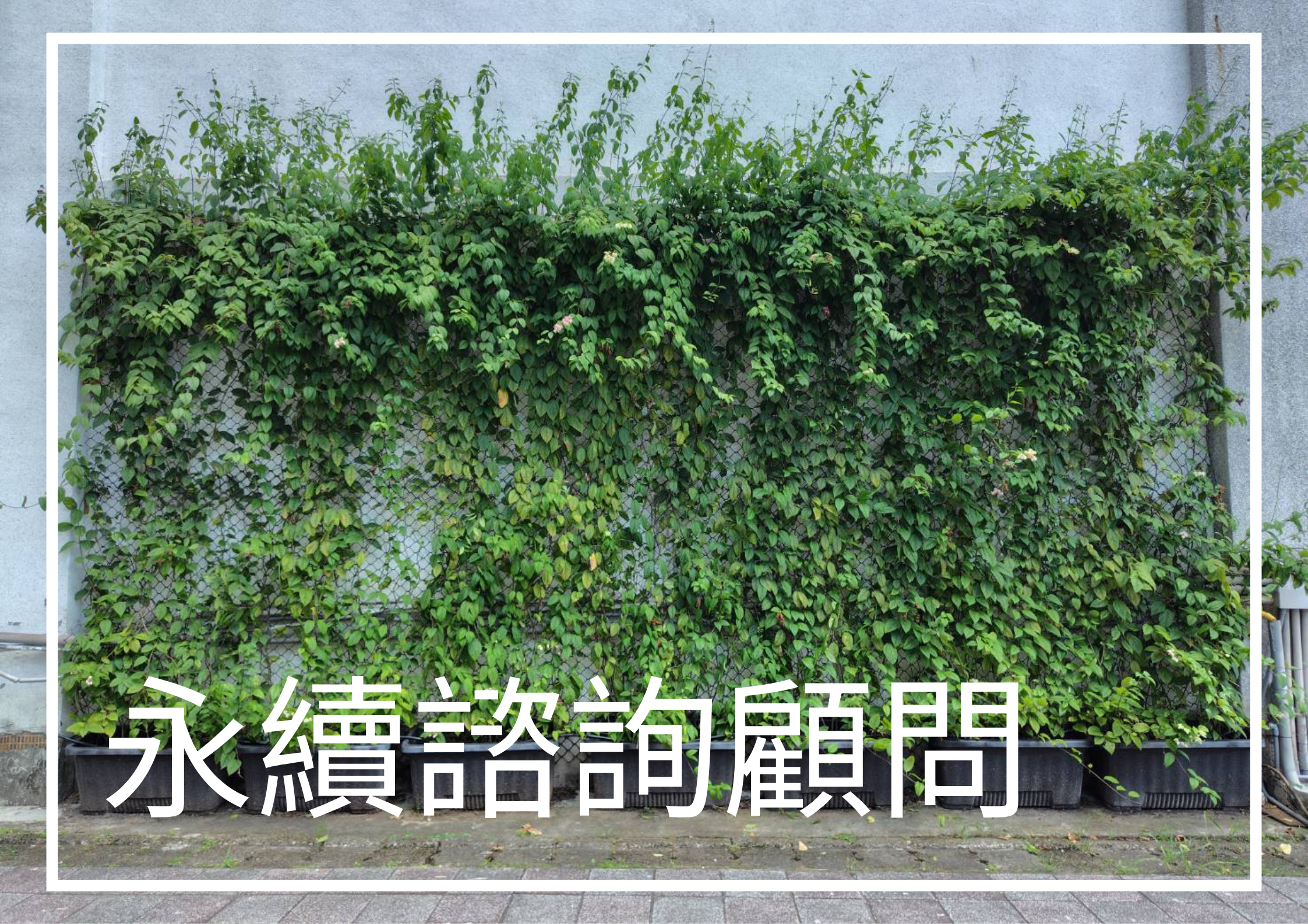 永續諮詢顧問服務